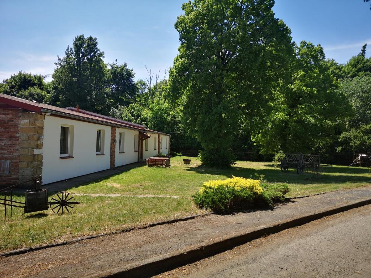 Green Apartments Lustenice Екстер'єр фото