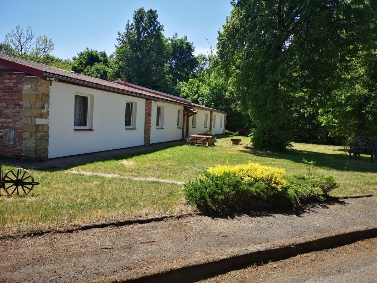Green Apartments Lustenice Екстер'єр фото